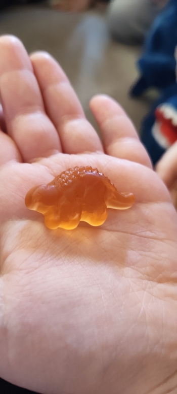 inbound7675907550195990393