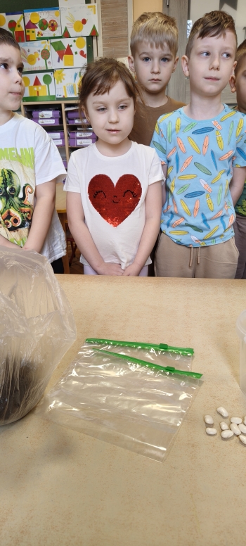 inbound8766194237945779742