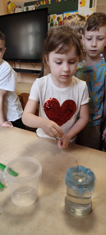 inbound8678928914074473424