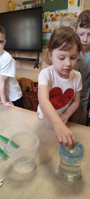 inbound2507667264882879615