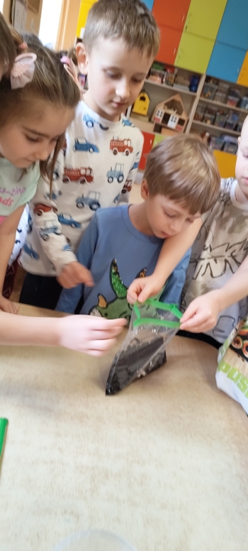 inbound2606471004342639519