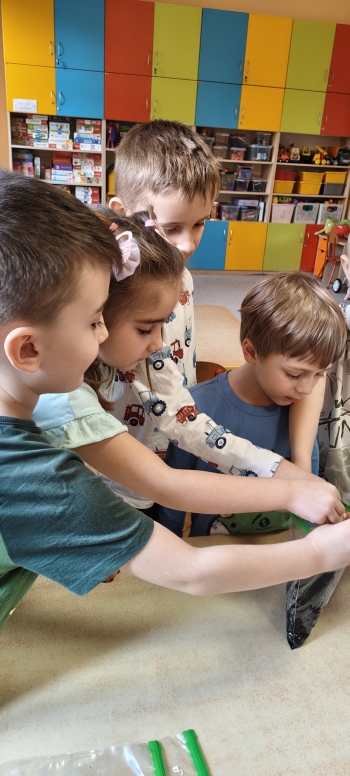 inbound579175625046387818