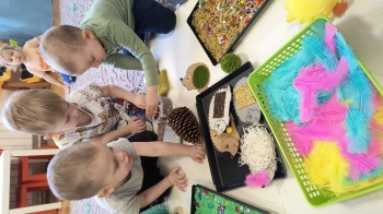 IMG_20260305_094312655