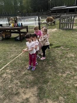 IMG_7027.jpeg