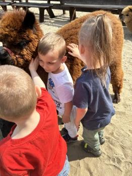 IMG_6976.jpeg
