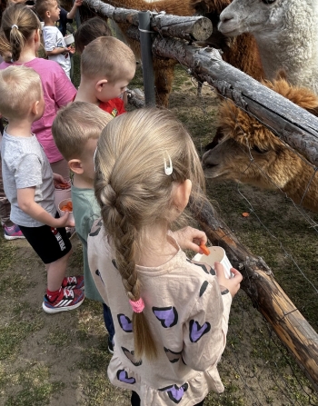 IMG_6964.jpeg