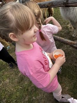 IMG_6960.jpeg