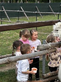 IMG_6954.jpeg