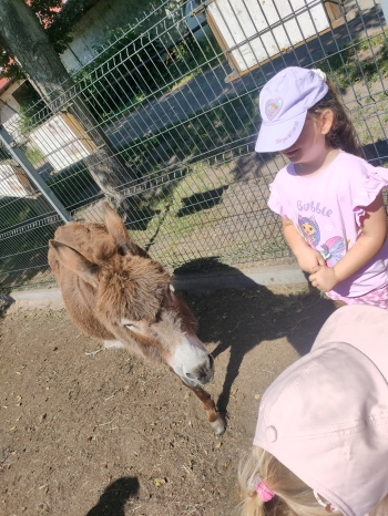 IMG20260625102726