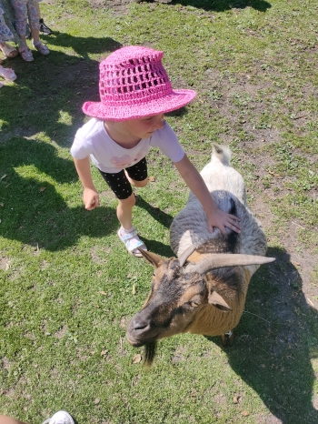IMG20260625102842