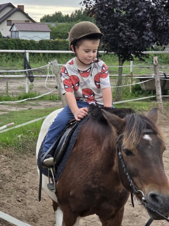 18.jfif