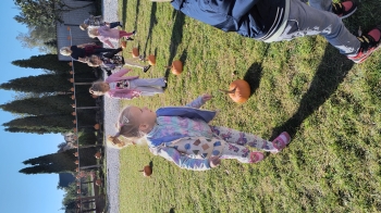 IMG_20260929_103322511_HDR