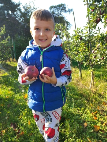 received_2431179410744384.jpeg