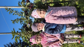IMG_20261006_100439146_HDR