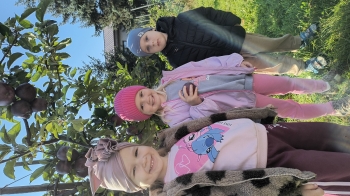 IMG_20261006_100723975_HDR