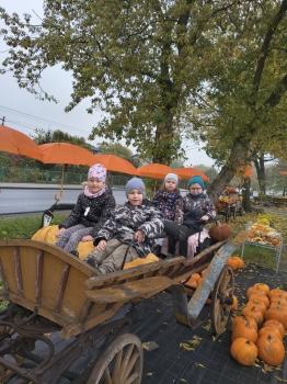 IMG_20261020_094757530_HDR