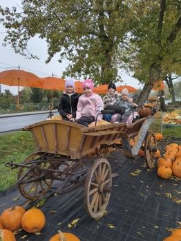 IMG_20261020_094640956_HDR