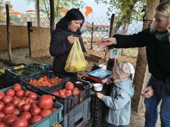 IMG_20261020_101231703_HDR