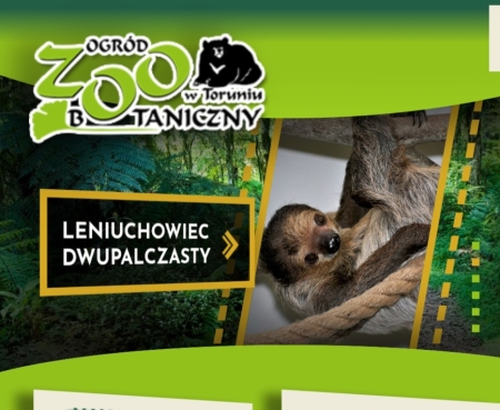 Wycieczka do Ogrodu Zoobotanicznego w Toruniu - grupa Słowików i Motylków 