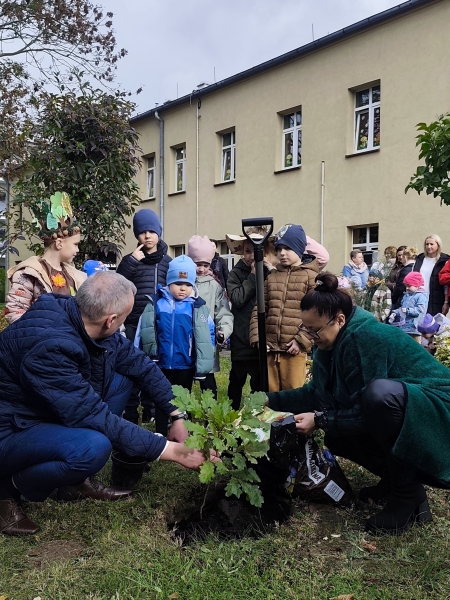 Światowy Dzień Drzewa